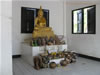 Taken On The Big Buddha Hill Wat Phra Yai  012