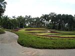 Nong Nooch Tropical Garden 001