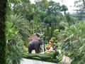 Nong Nooch Tropical Garden 002