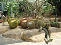Nong Nooch Tropical Garden 015