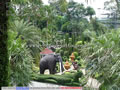 Nong Nooch Tropical Garden 002