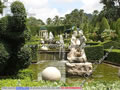 Nong Nooch Tropical Garden 013